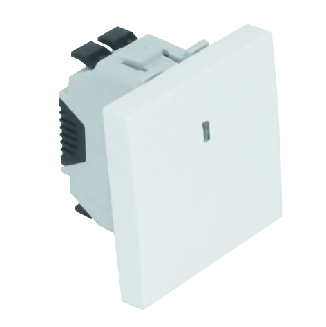 Two-pole Switch with Pilot Lamp - 2 Modules